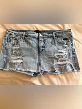 Buckle Black Women’s Denim Shorts